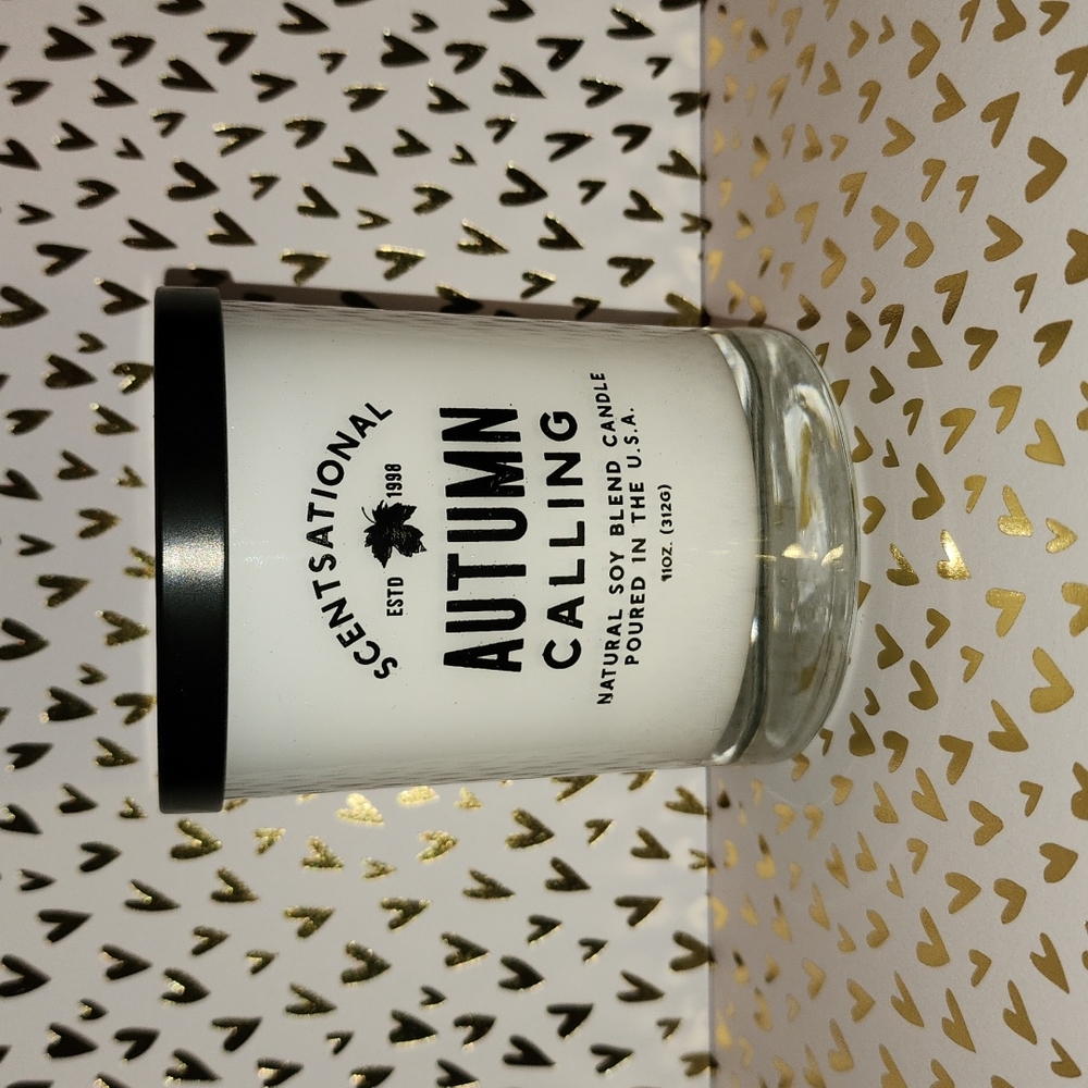 Brand new Scentsational Autumn Calling  soy blend candle